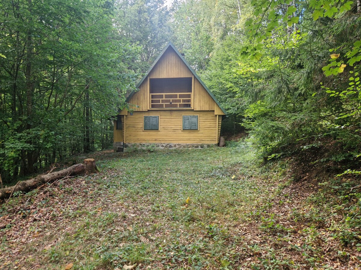 Predaj: Chata Moštenica v horách / 383 m2 pozemok — foto 2