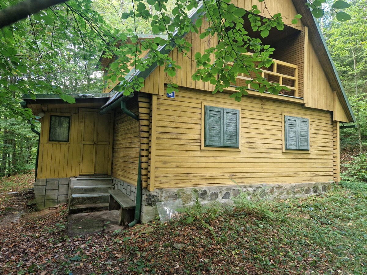 Predaj: Chata Moštenica v horách / 383 m2 pozemok — foto 3