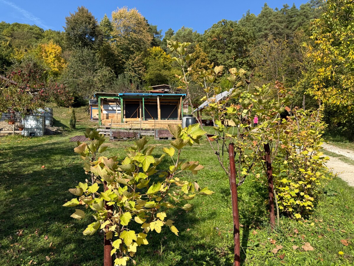 ÚTULNÁ CHATKA V OÁZE POKOJA V PÚCHOVE– ZÁHRADKÁRSKA OSADA ZÁBREH — foto 14