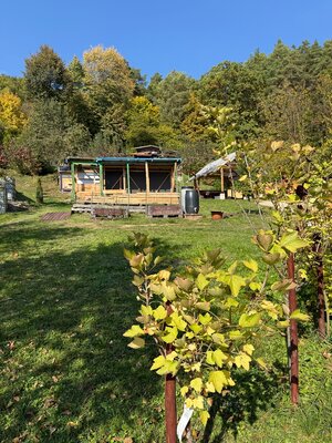 ÚTULNÁ CHATKA V OÁZE POKOJA V PÚCHOVE– ZÁHRADKÁRSKA OSADA ZÁBREH — foto 13