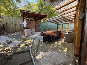 ÚTULNÁ CHATKA V OÁZE POKOJA V PÚCHOVE– ZÁHRADKÁRSKA OSADA ZÁBREH — foto 8