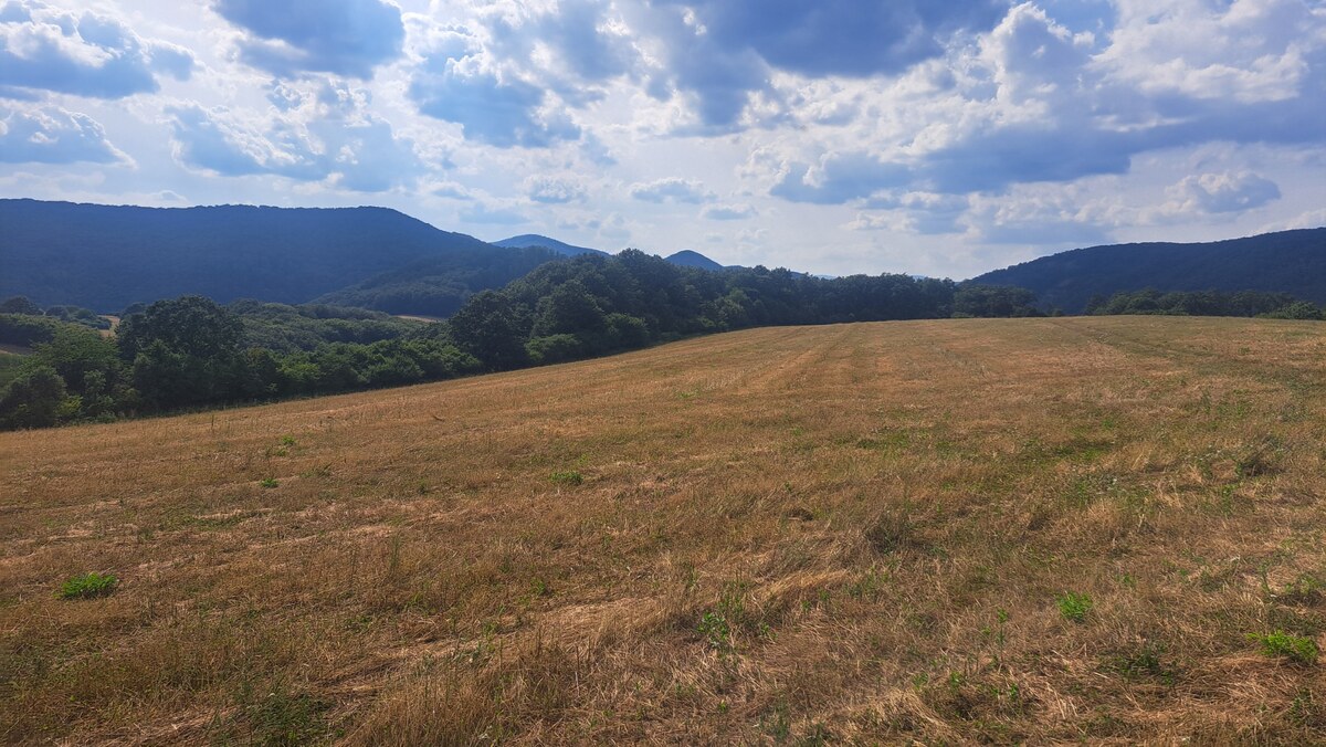 POZEMOK, Ostrá Lúka okr.Zvolen, rozloha cca 2900 m2, — foto 3