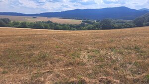 POZEMOK, Ostrá Lúka okr.Zvolen, rozloha cca 2900 m2, — foto 4