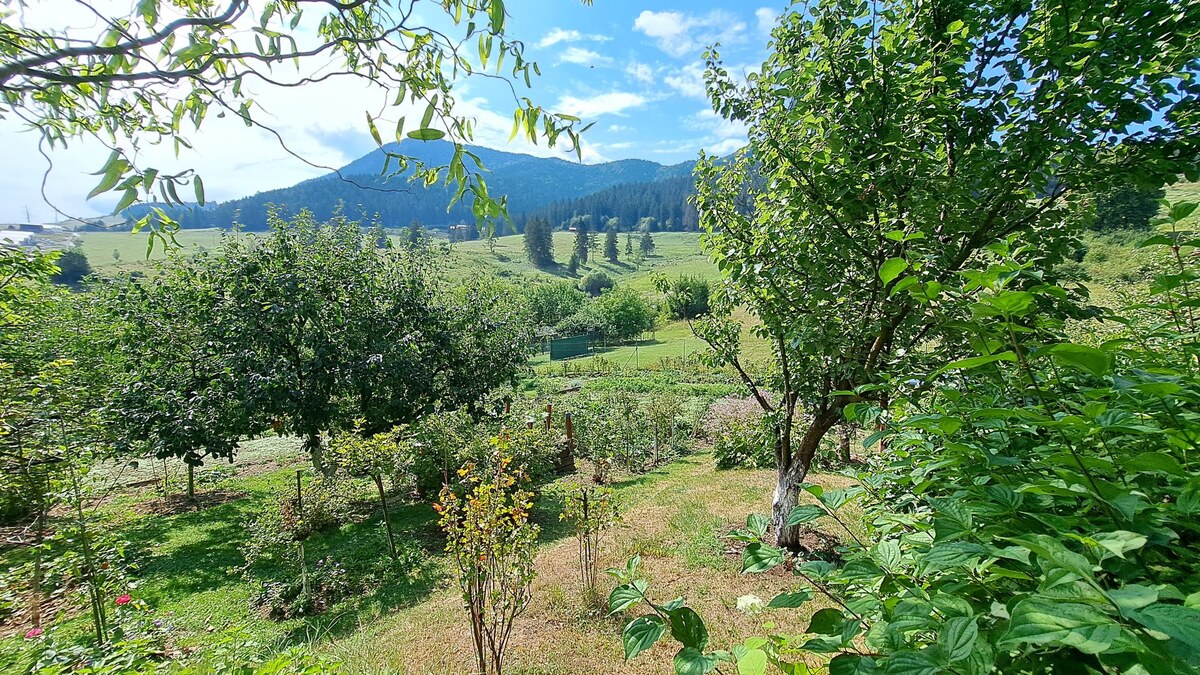 PREDAJ: Záhradná chatka - pozemok 653m2, Ružomberok - Mičinô — foto 10