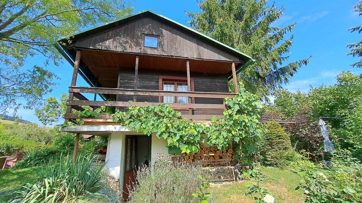PREDAJ: Záhradná chatka - pozemok 653m2, Ružomberok - Mičinô — foto 2