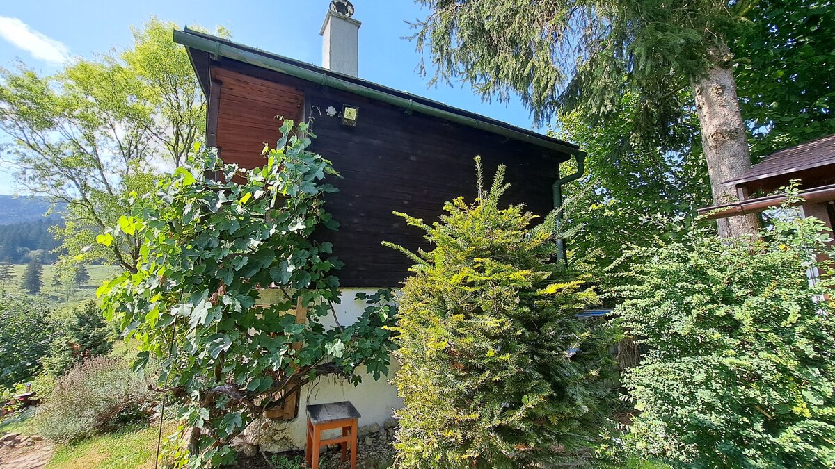 PREDAJ: Záhradná chatka - pozemok 653m2, Ružomberok - Mičinô — foto 7