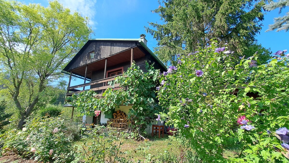PREDAJ: Záhradná chatka - pozemok 653m2, Ružomberok - Mičinô — foto 9