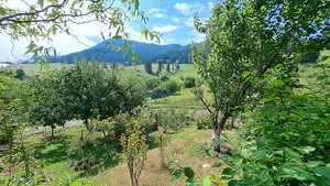 PREDAJ: Záhradná chatka - pozemok 653m2, Ružomberok - Mičinô — foto 10