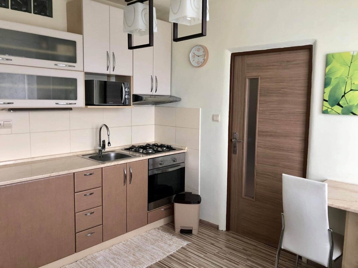 PRENÁJOM: 1-izbový byt s balkónom, 41 m2, komplet prerobený, THK