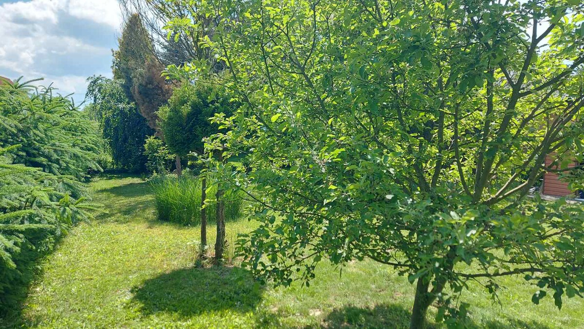 Stavebný pozemok (19m x25m) 473 m2 + cesta Martin Stráne — foto 3