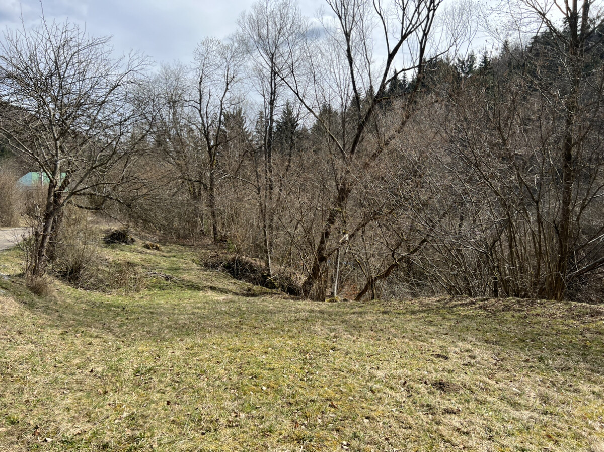 Rozľahlý rekreačný pozemok v tichom prostredí Javorníkov- 3.026 m2 — foto 8