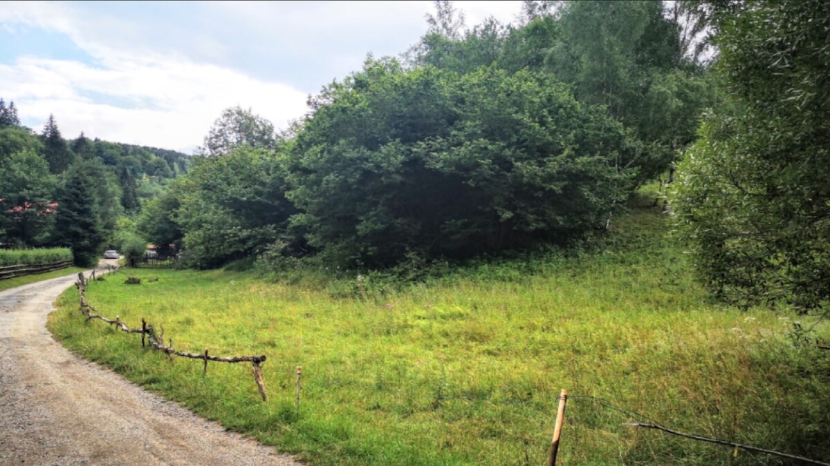 PREDAJ:pozemok na rekreačné účely-Ružomberok -Trlenská dolina:2071m2