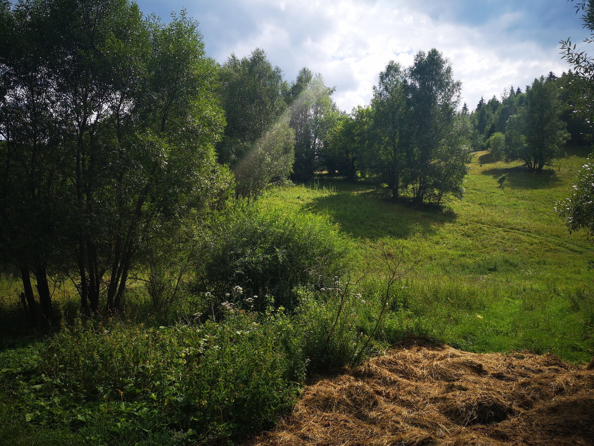 PREDAJ:pozemok na rekreačné účely-Ružomberok -Trlenská dolina:2071m2 — foto 3