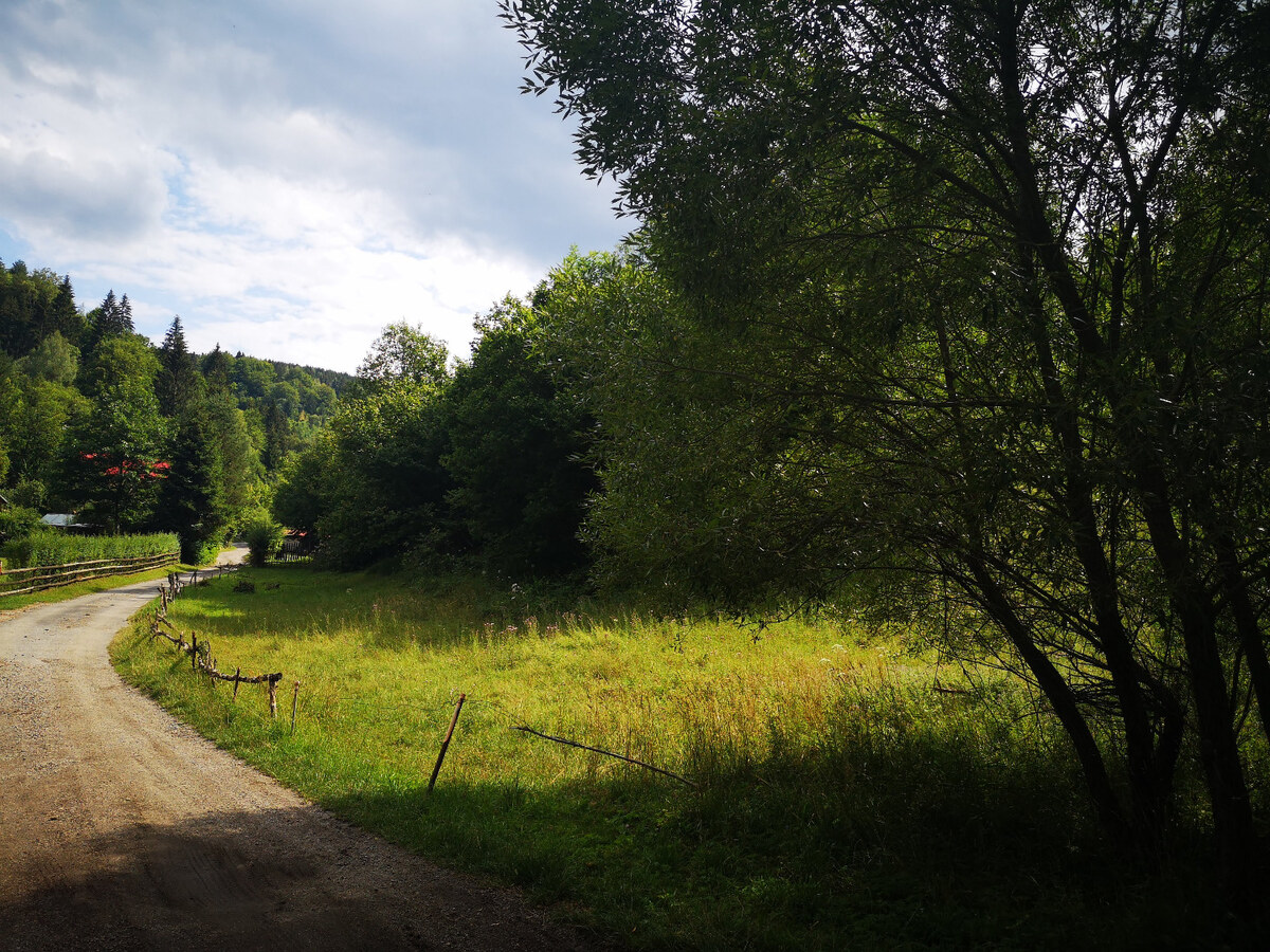 PREDAJ:pozemok na rekreačné účely-Ružomberok -Trlenská dolina:2071m2 — foto 4