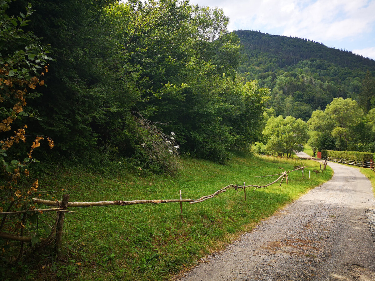 PREDAJ:pozemok na rekreačné účely-Ružomberok -Trlenská dolina:2071m2 — foto 5