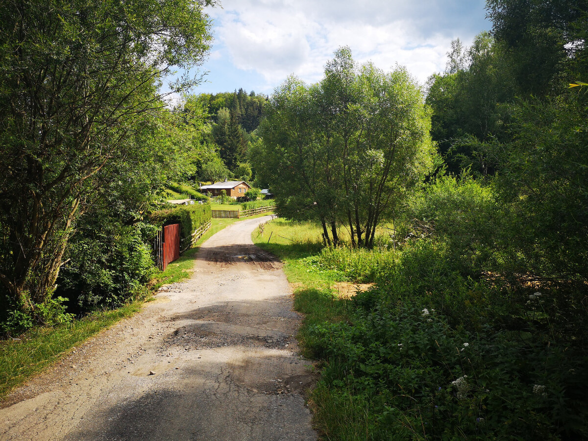 PREDAJ:pozemok na rekreačné účely-Ružomberok -Trlenská dolina:2071m2 — foto 6