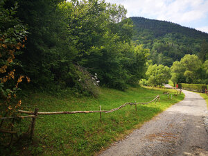 PREDAJ:pozemok na rekreačné účely-Ružomberok -Trlenská dolina:2071m2 — foto 5