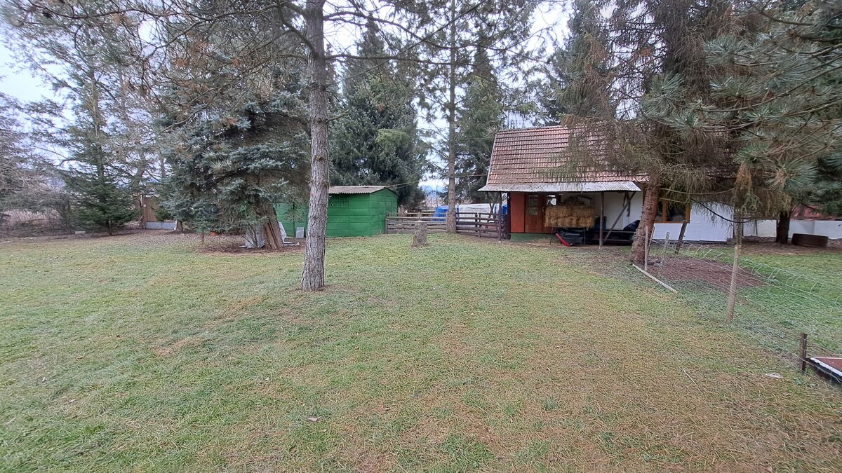 Predaj: Penzión - Kúria, Ivachnová - Lazy, pozemok 10.328m2 — foto 8