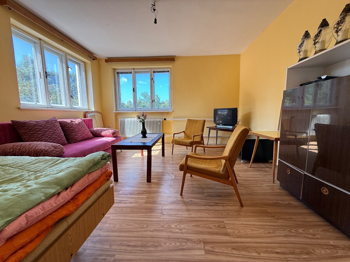Priestranný dvojpodlažný rodinný dom v tichej lokalite- Orlové — foto 15