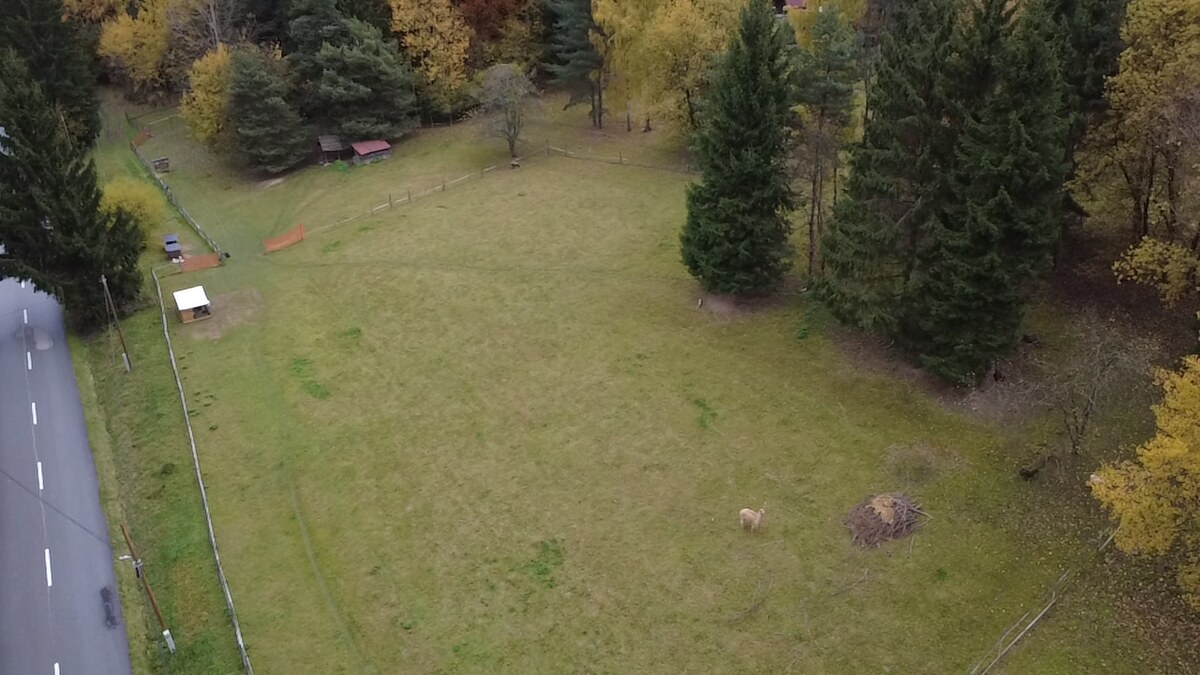 Na predaj pozemok pre individuálnu rekreáciu- Čertov 5.543m2