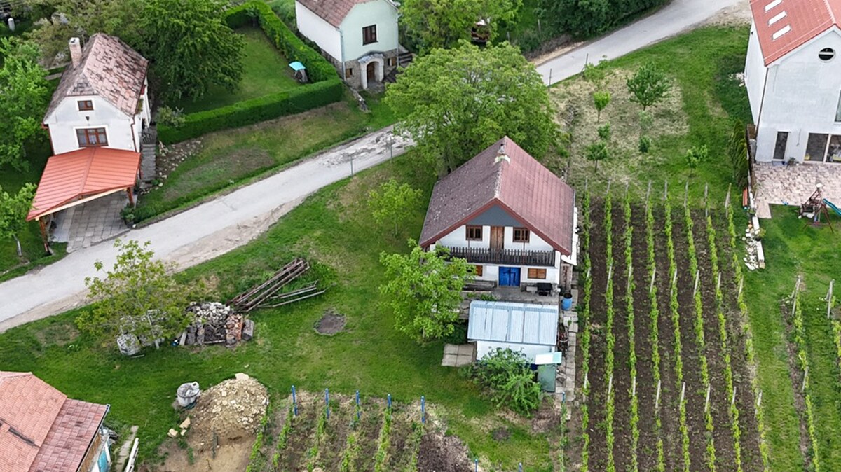 Predaj vinohradnícky dom Skalica — foto 4