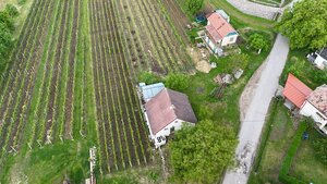 Predaj vinohradnícky dom Skalica — foto 1