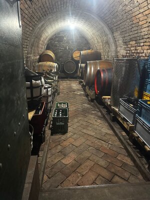 Predaj vinohradnícky dom Skalica — foto 12