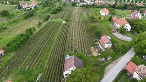 Predaj vinohradnícky dom Skalica — foto 2