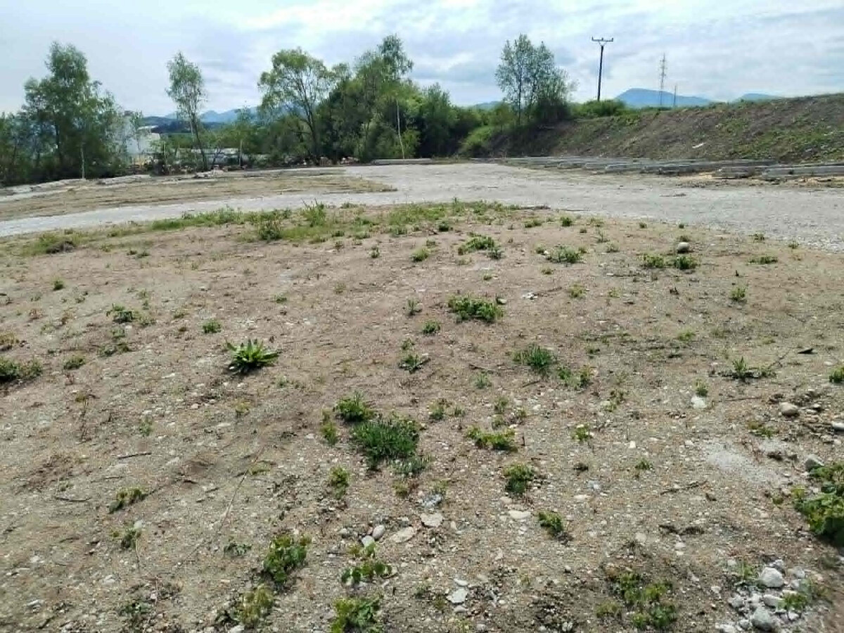 Stavebný pozemok (75m x 55m) - 4399 m2 v Košútoch — foto 5