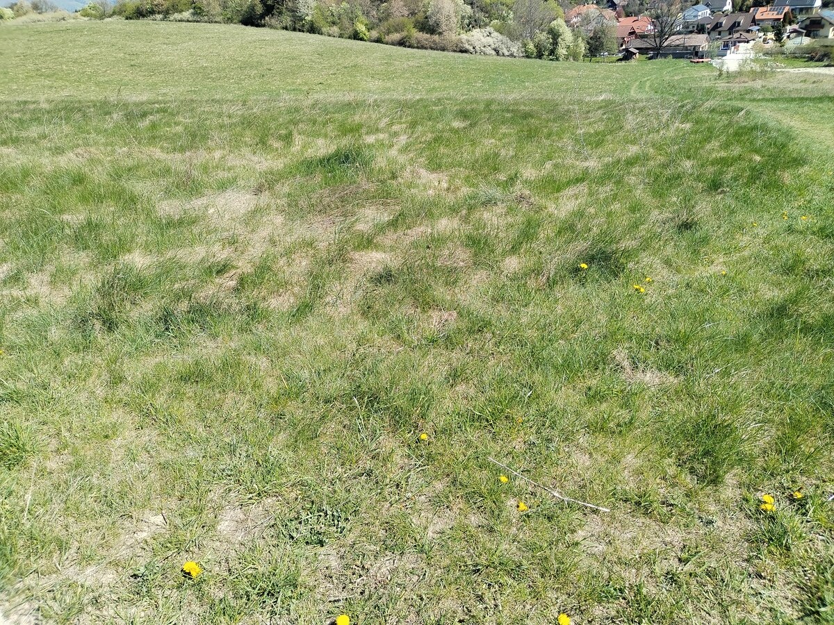 Stavebný pozemok (181m x46m)-8321 m2 Dolný Kalník — foto 2