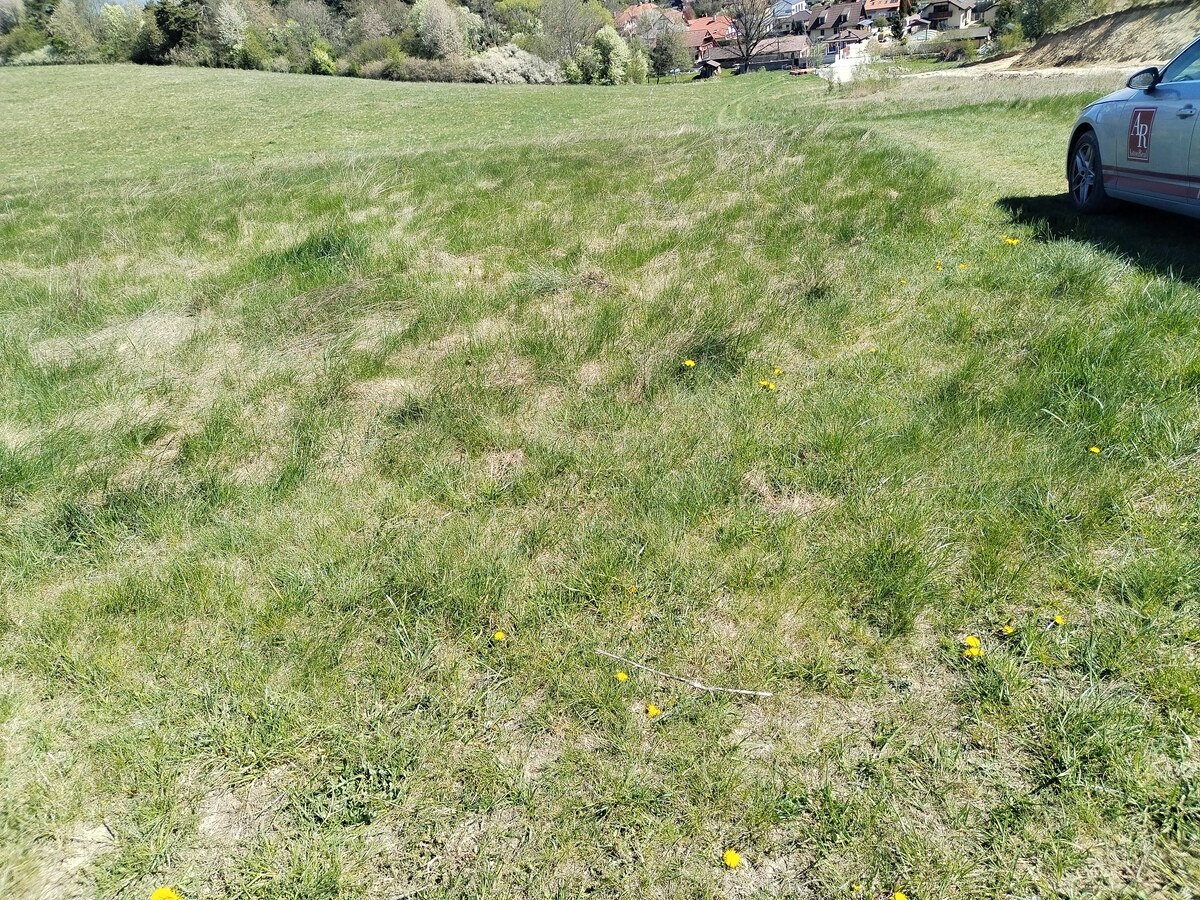 Stavebný pozemok (181m x46m)-8321 m2 Dolný Kalník — foto 4
