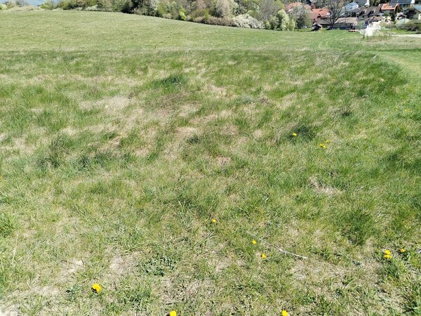Stavebný pozemok (181m x46m)-8321 m2 Dolný Kalník