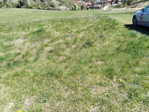 Stavebný pozemok (181m x46m)-8321 m2 Dolný Kalník — foto 4