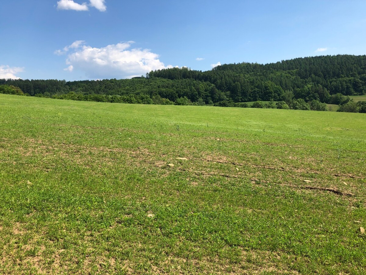 PREDAJ: Rekreačný pozemok v obci Horná Breznica- 6877m2