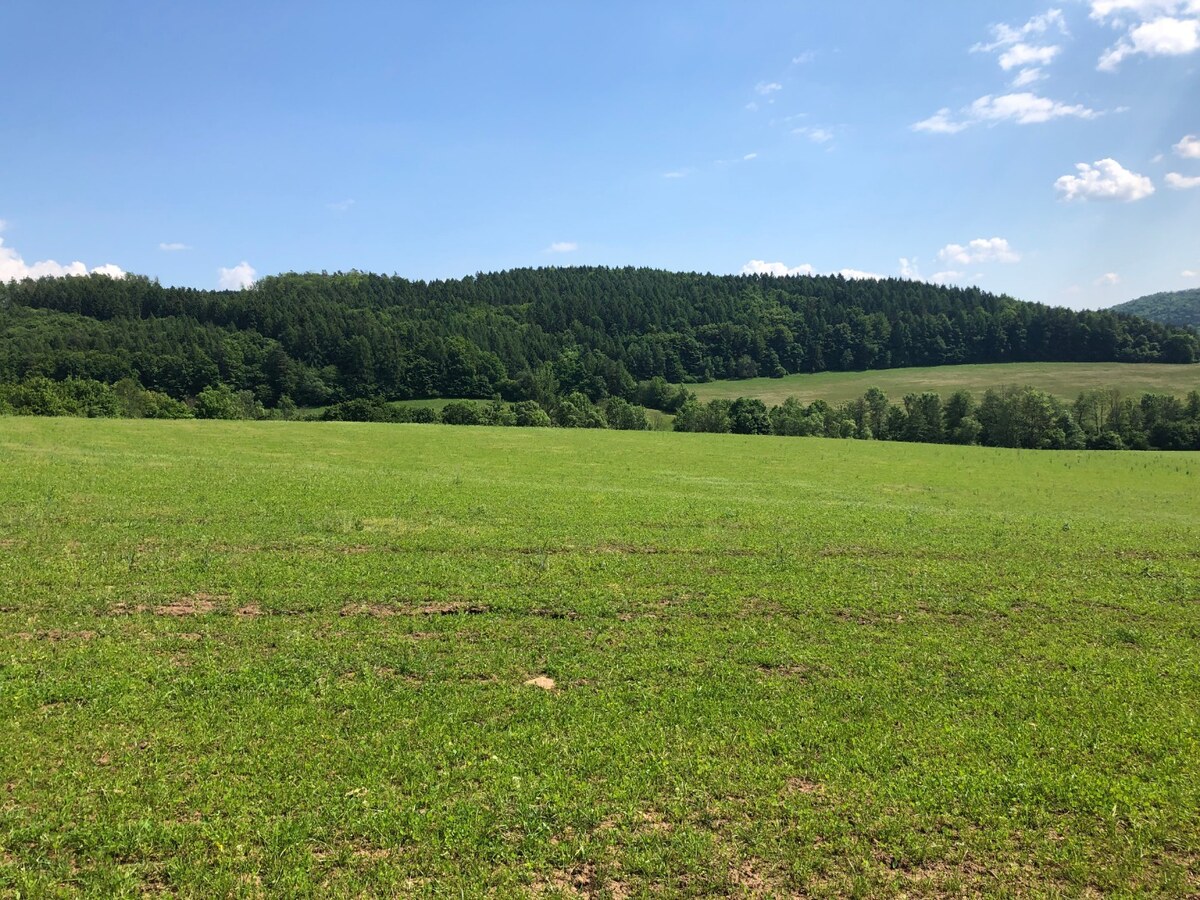 PREDAJ: Rekreačný pozemok v obci Horná Breznica- 6877m2 — foto 2