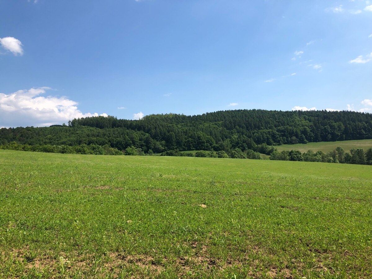 PREDAJ: Rekreačný pozemok v obci Horná Breznica- 6877m2 — foto 3