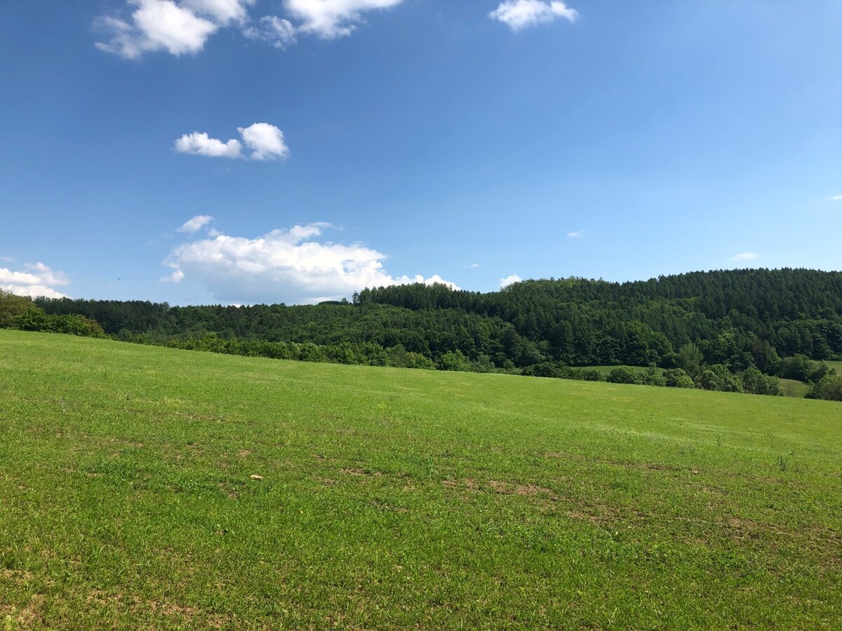 PREDAJ: Rekreačný pozemok v obci Horná Breznica- 6877m2 — foto 5
