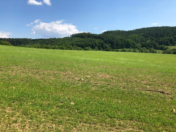 PREDAJ: Rekreačný pozemok v obci Horná Breznica- 6877m2