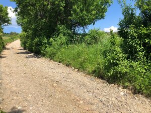 PREDAJ: Rekreačný pozemok v obci Horná Breznica- 6877m2 — foto 6