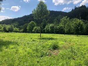 Investičný rovinatý pozemok v intraviláne- Púchov 3231 m2 — foto 3
