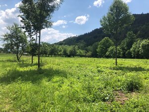 Investičný rovinatý pozemok v intraviláne- Púchov 3231 m2 — foto 4