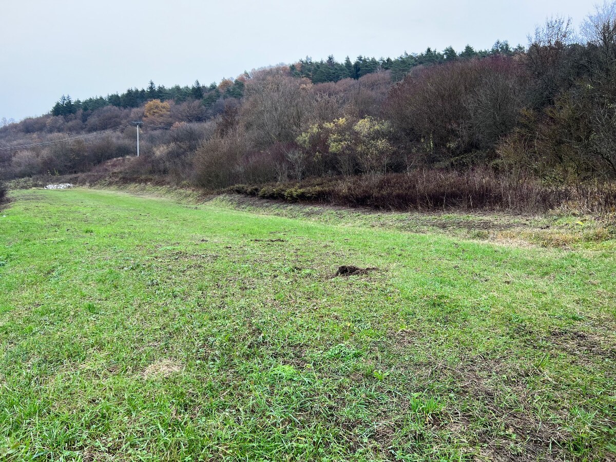 Na predaj pozemok na exponovanom mieste na účel občianskej vybavenosti — foto 4