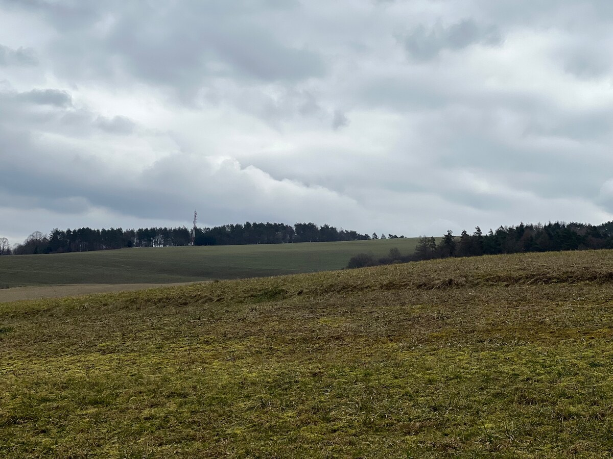 REKREAČNÝ POZEMOK: POZEMOK SNOV, TICHO, PRÍRODA, LES, LÚKY- 4.121m2 — foto 3