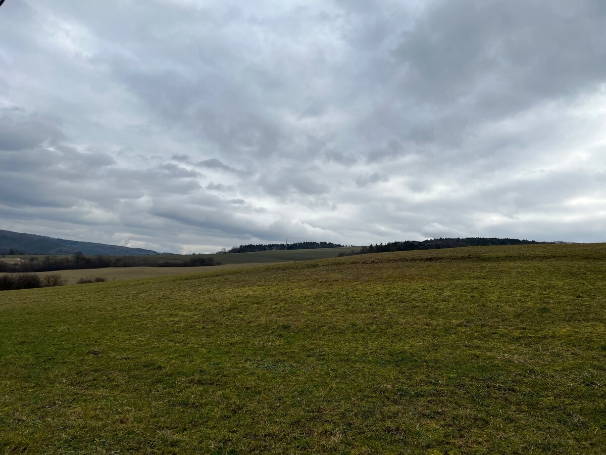 REKREAČNÝ POZEMOK: POZEMOK SNOV, TICHO, PRÍRODA, LES, LÚKY- 4.121m2 — foto 4