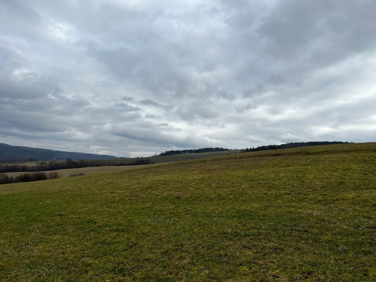 REKREAČNÝ POZEMOK: POZEMOK SNOV, TICHO, PRÍRODA, LES, LÚKY- 4.121m2 — foto 5