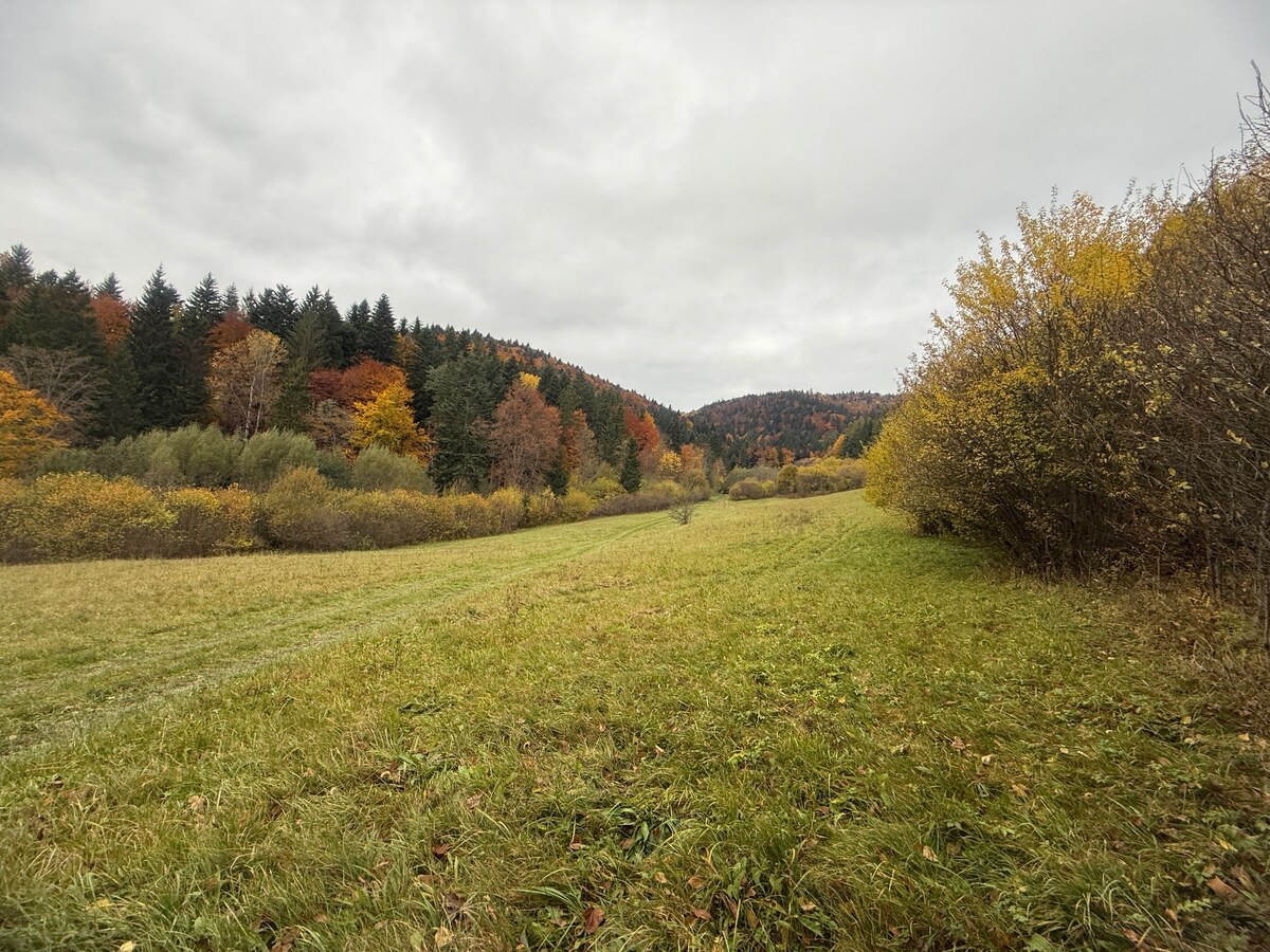 Na predaj rekreačný pozemok Lazy pod Makytou- Čertov 34.442 m2 — foto 3