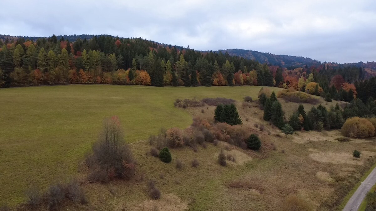 Investičný pozemok pre individuálnu rekreáciu- Čertov 91.147m2 — foto 8