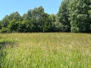 Pekný slnečný rekreačný pozemok v lone prírody Nimnica — foto 4