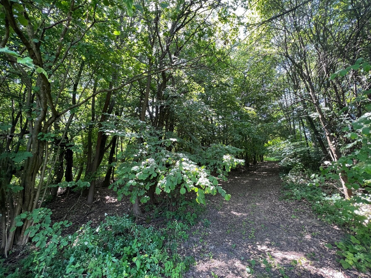 Na predaj Rekreačný pozemok v blízkosti Púchova- 3432 m2 — foto 4