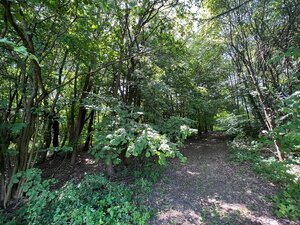 Na predaj Rekreačný pozemok v blízkosti Púchova- 3432 m2 — foto 4